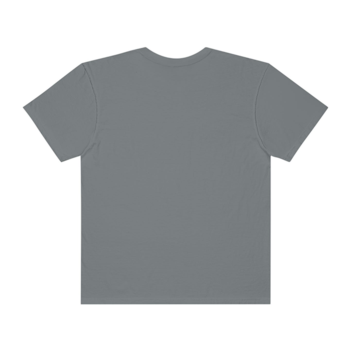 Official Swilson "HTX" Shirt (Comfort Colors)