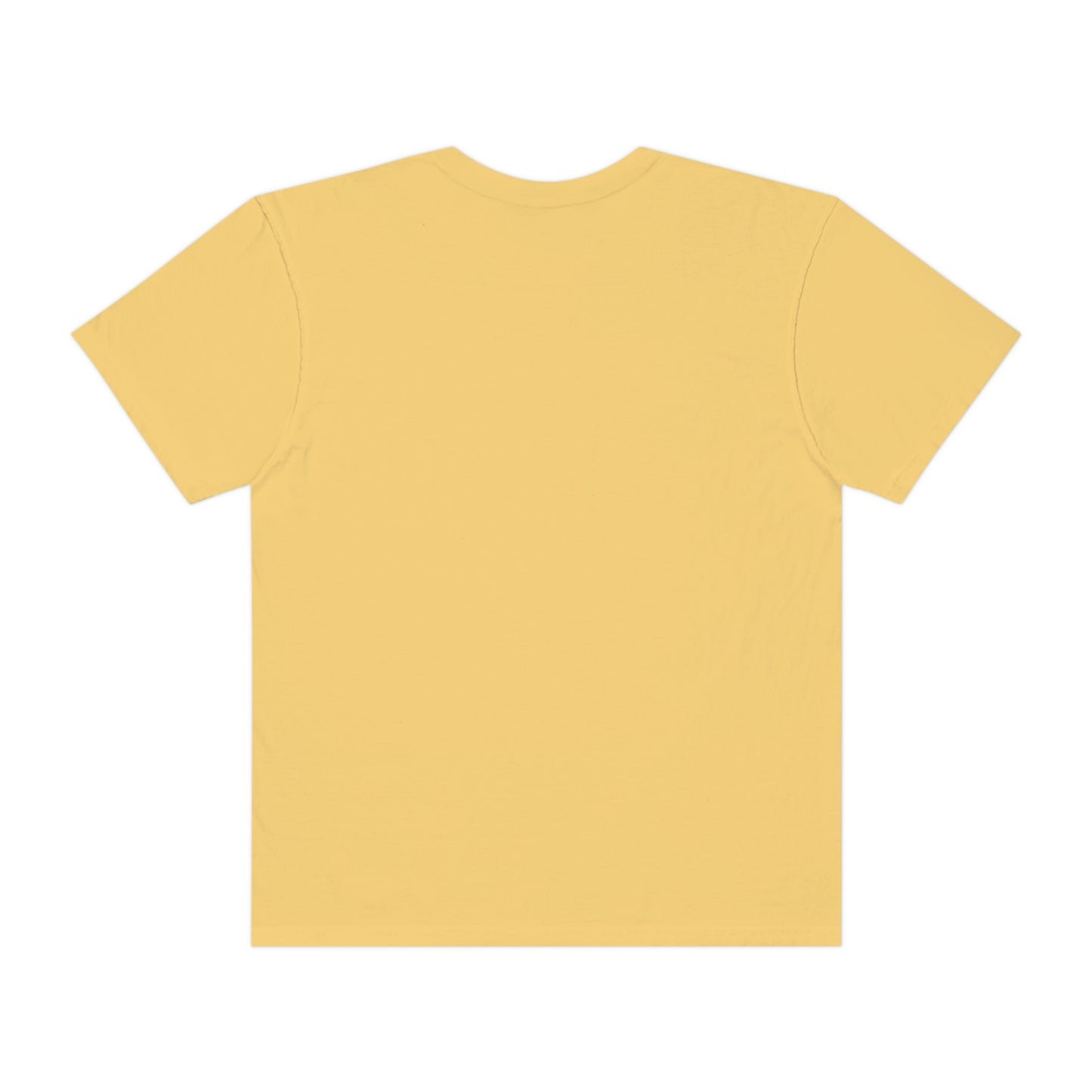Official Swilson "17 + 22 = HTX" T-Shirt (Comfort Colors)